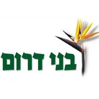 בני דרום